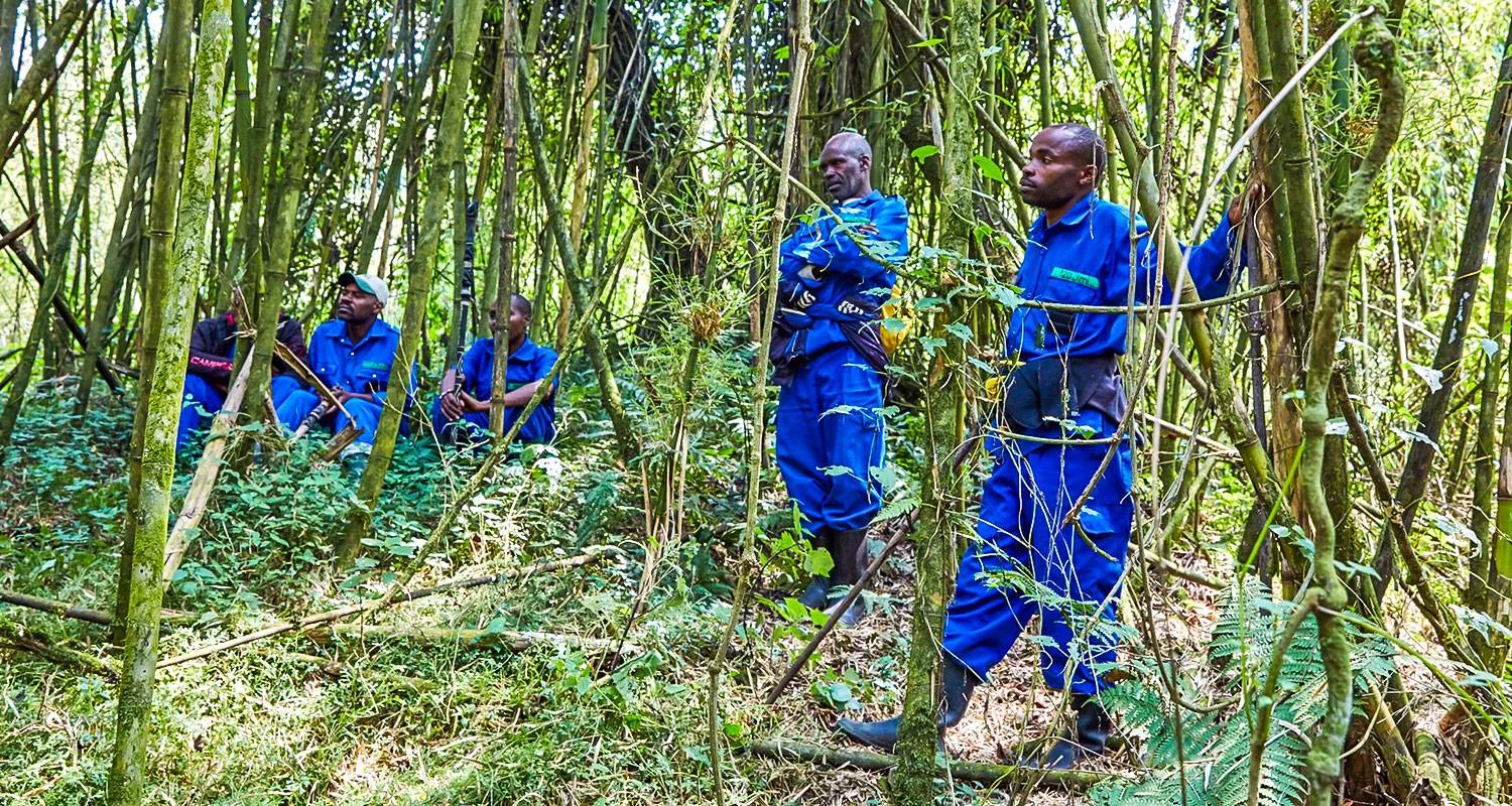 Explore Tailor-Made Best Rwanda Tour, Daily Departure & Private Trip for 8 days with Agate Travel and discover unforgettable experiences - Photo 2