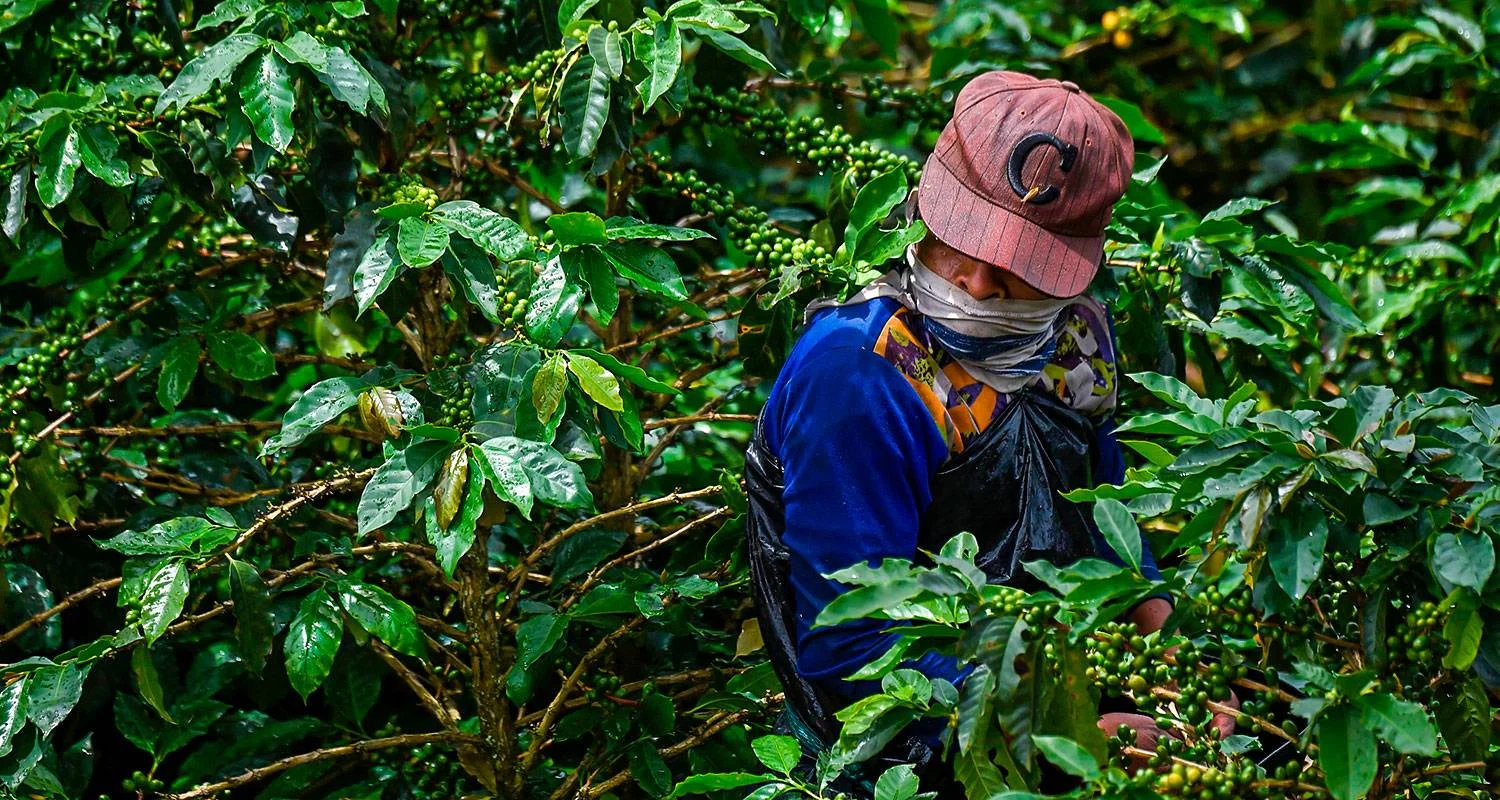 Explore Tailor-Made Private Angola Tour to Luanda & Kalandula Falls, Daily Start for 6 days with Agate Travel and discover unforgettable experiences - Photo 2