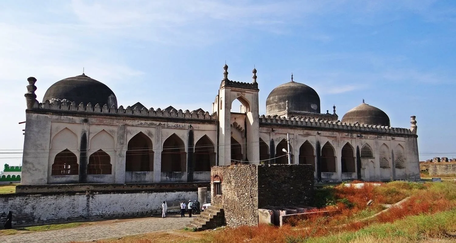 Explore Unique & Adventure Golden Triangle Tour With Chambal Safari for 8 days with Agra Travels Service & Tours and discover unforgettable experiences - Photo 2