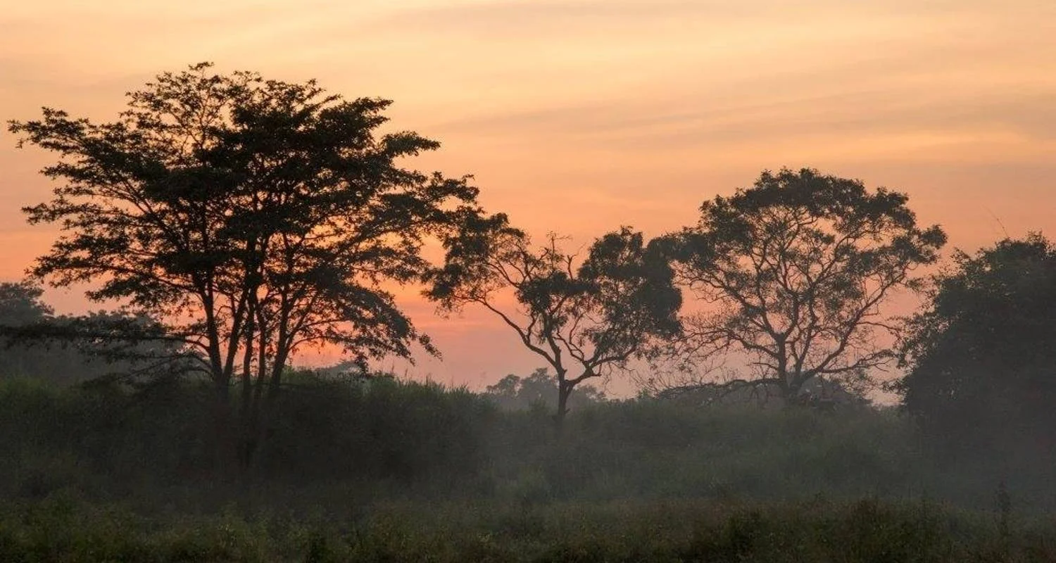 Explore Splendors of Sri Lanka for 6 days with Aitken Spence Travel and discover unforgettable experiences - Photo 2