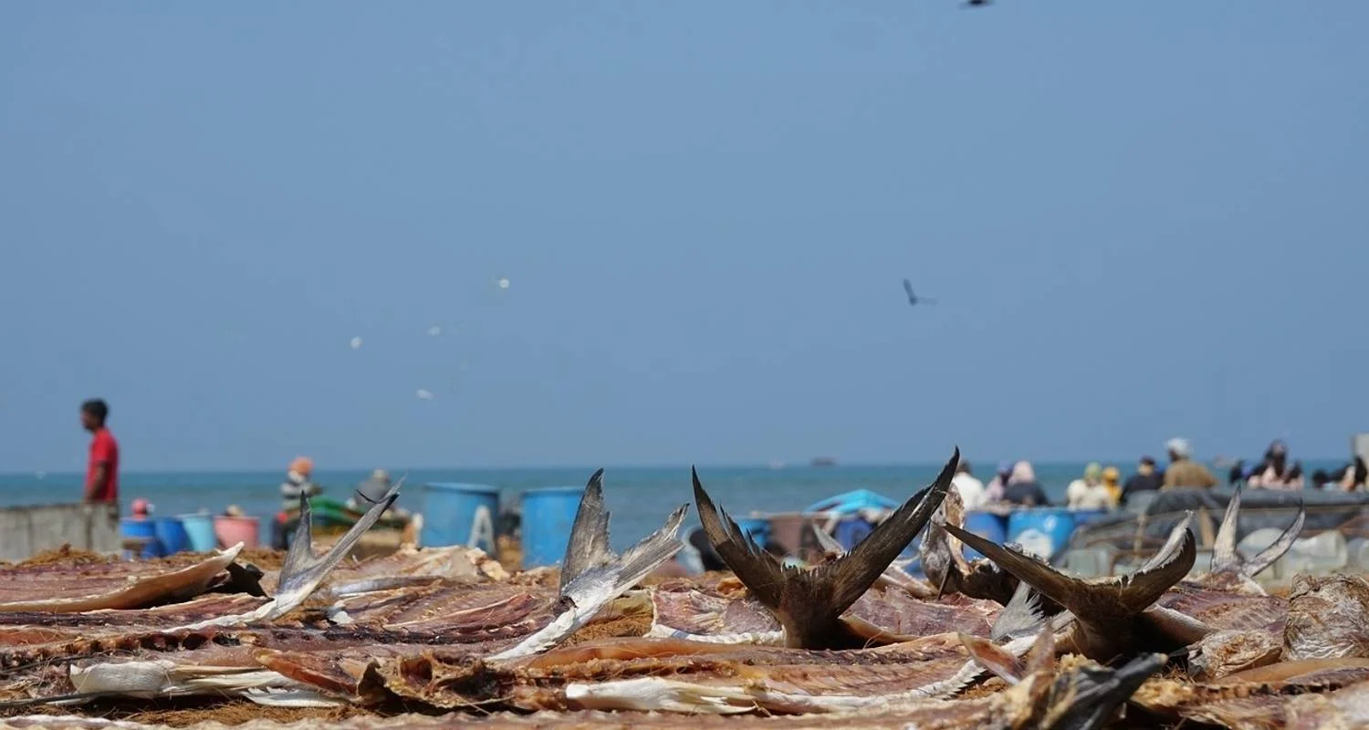 Explore City Break, Escape to Negombo for 4 days with Aitken Spence Travel and discover unforgettable experiences - Photo 2