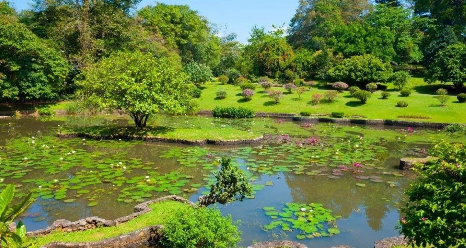 Explore Pearl of the Indian Ocean, Private Tour for 8 days with Aitken Spence Travel and discover unforgettable experiences - Photo 2