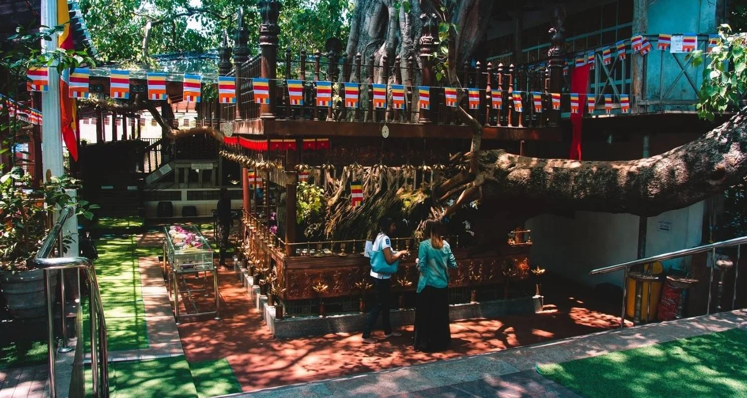 Explore The Vivid Green of Sri Lanka for 4 days with Aitken Spence Travel and discover unforgettable experiences - Photo 2