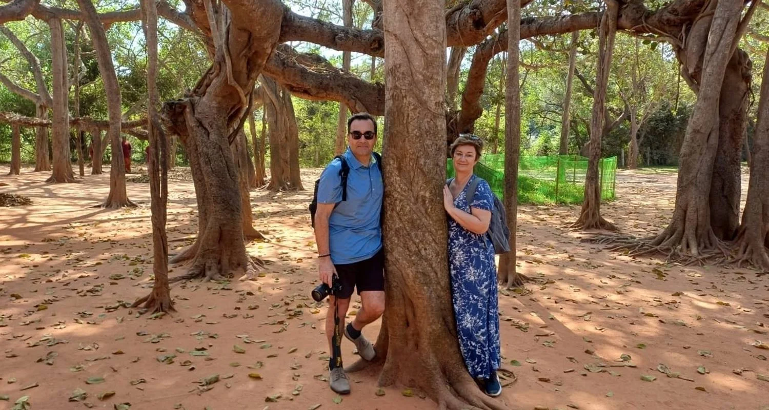 Explore Exploring South India from Chennai to Bangalore for 13 days with Agora Voyages OPC Pvt Ltd and discover unforgettable experiences - Photo 3