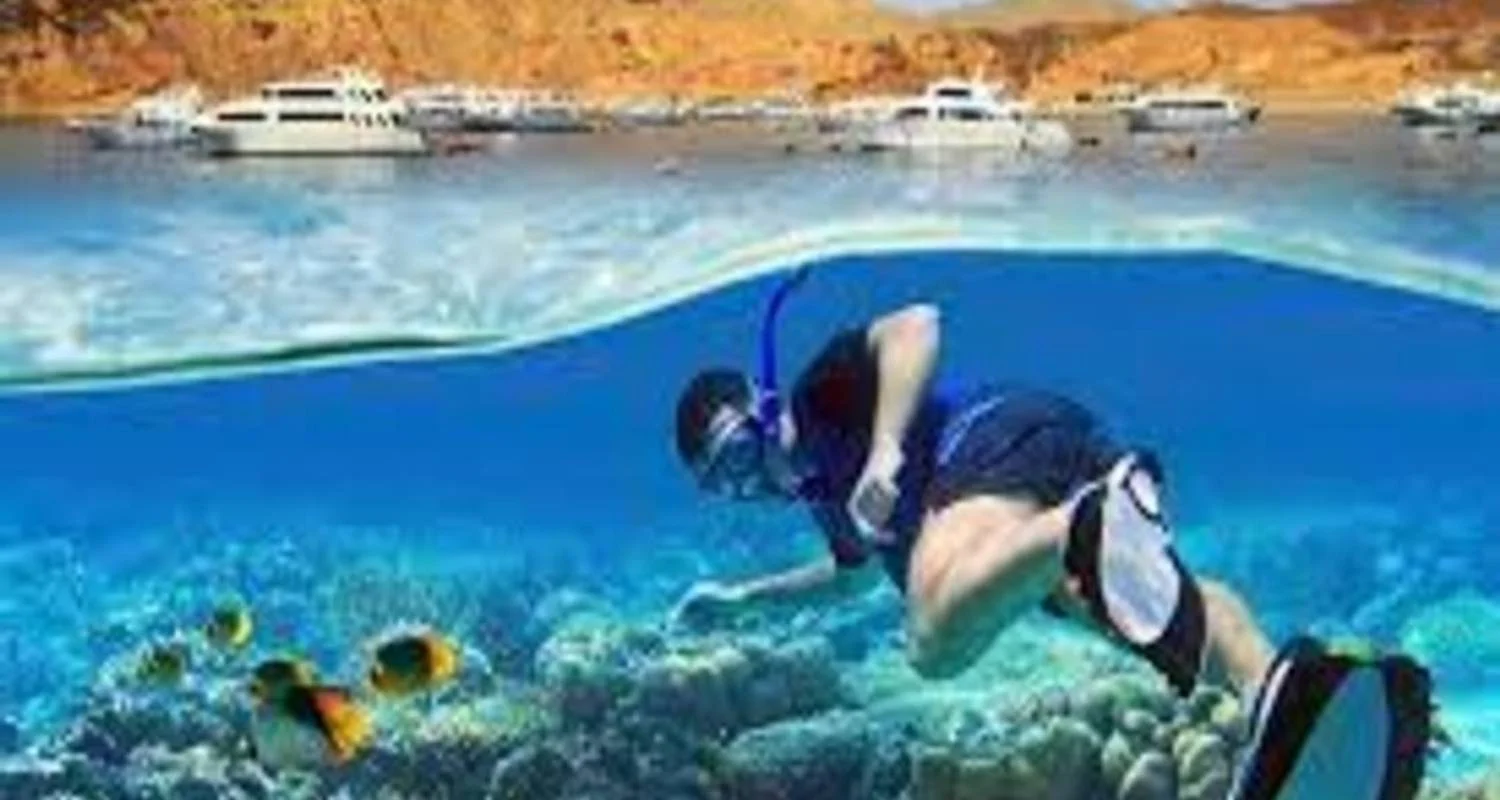 Explore SNORKELING TOUR ON GIFTUN ISLAND for 1 days with Alacart Travel Egypt and discover unforgettable experiences - Photo 2