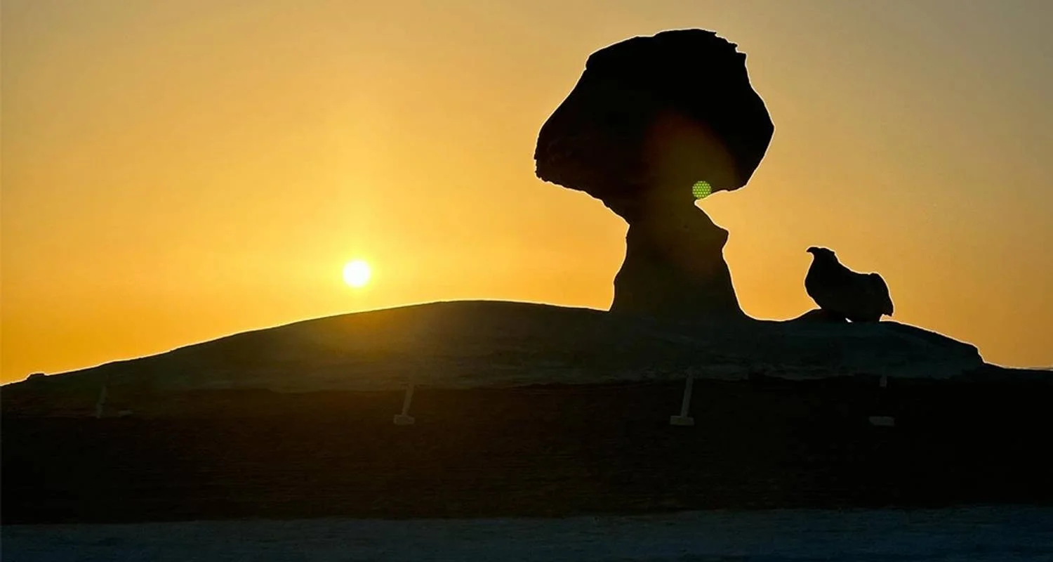 Explore Desert Explorer for 3 days with Alacart Travel Egypt and discover unforgettable experiences - Photo 2