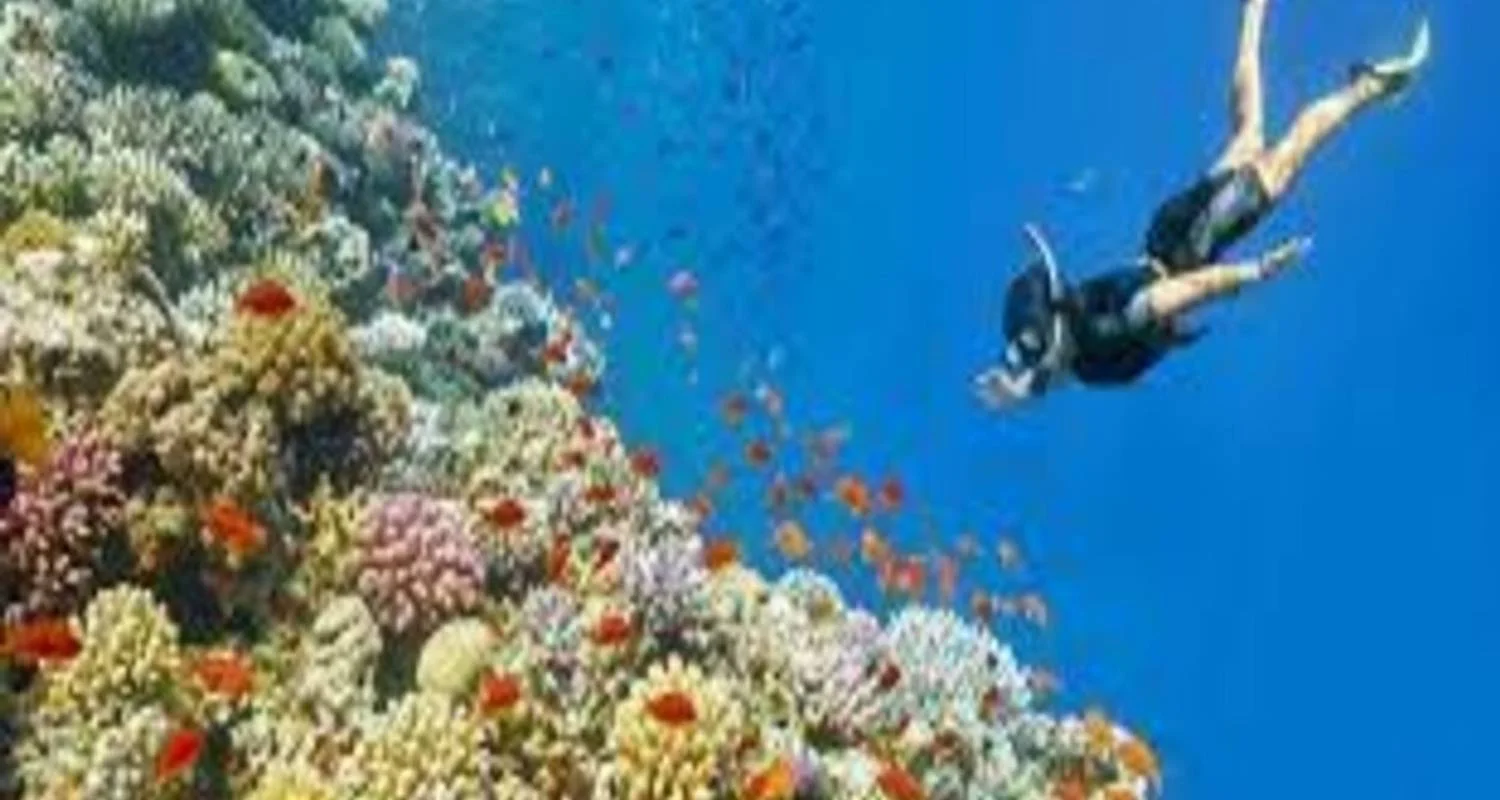 Explore PARADISE ISLAND FULL-DAY SNORKELING FROM HURGHADA for 1 days with Alacart Travel Egypt and discover unforgettable experiences - Photo 2