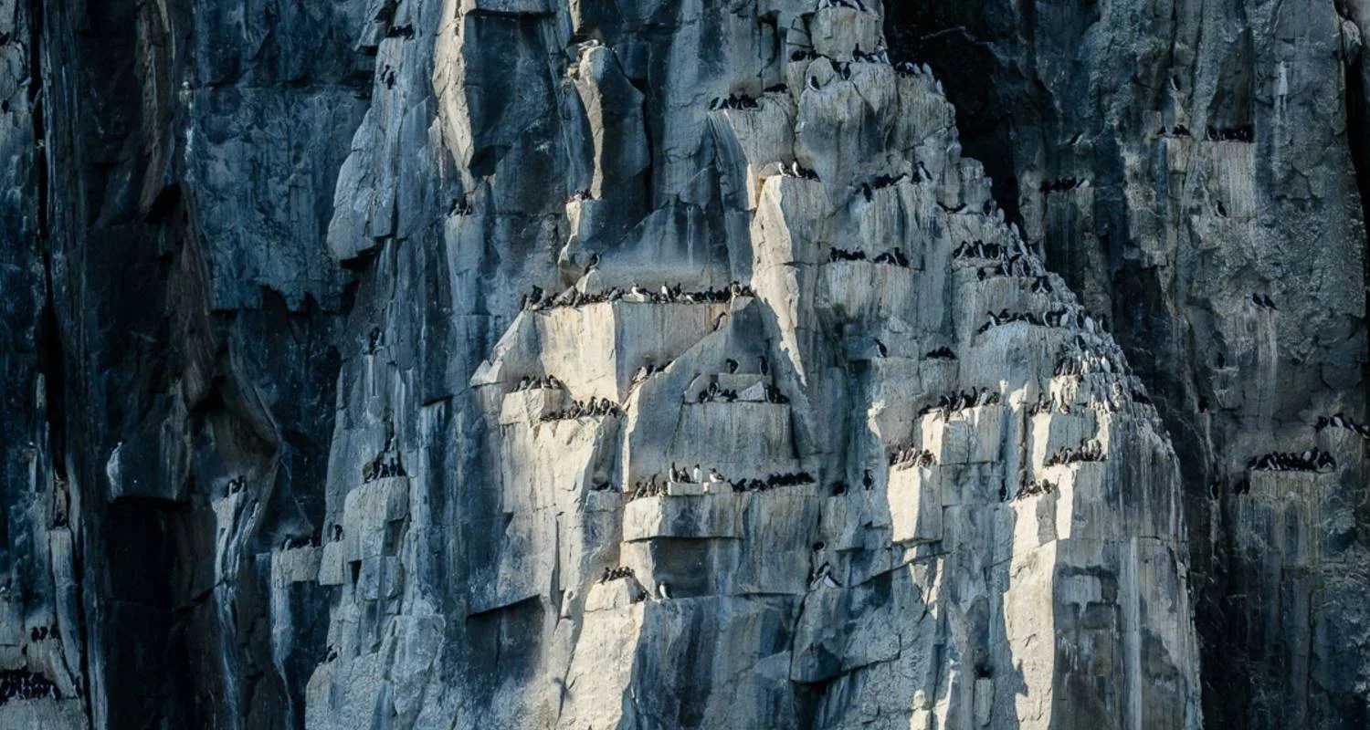 Explore Svalbard Circumnavigation for 10 days with Albatros Expeditions and discover unforgettable experiences - Photo 2