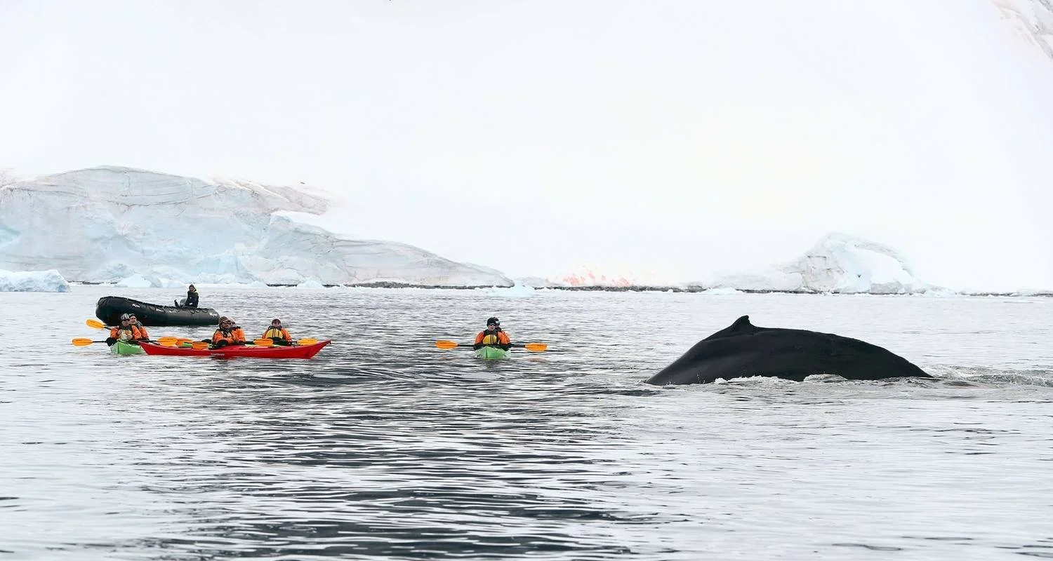Explore The Ultimate Antarctica Experience- Quest for the Circle, 12 Days for 12 days with Albatros Expeditions and discover unforgettable experiences - Photo 2