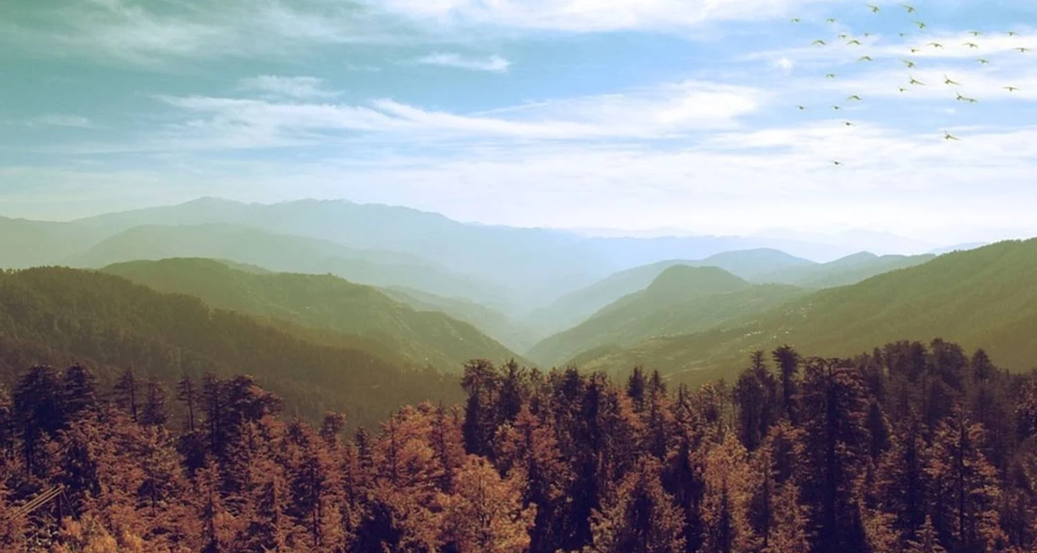 Explore Shimla Manali Chandigarh Tour for 9 days with Alkof Holidays and discover unforgettable experiences - Photo 2