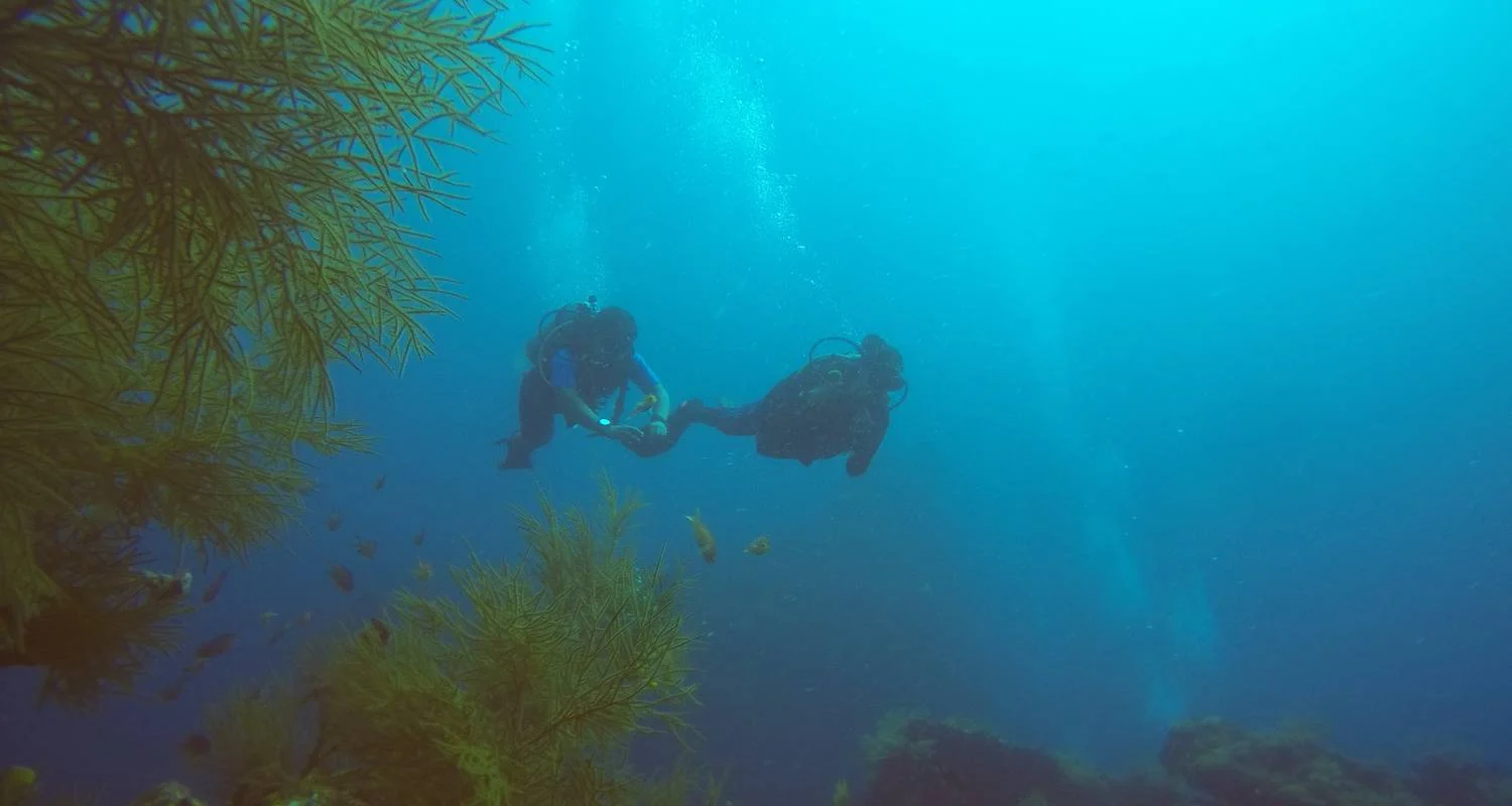 Explore Andaman Tour With Neil Islands for 7 days with Alkof Holidays and discover unforgettable experiences - Photo 2