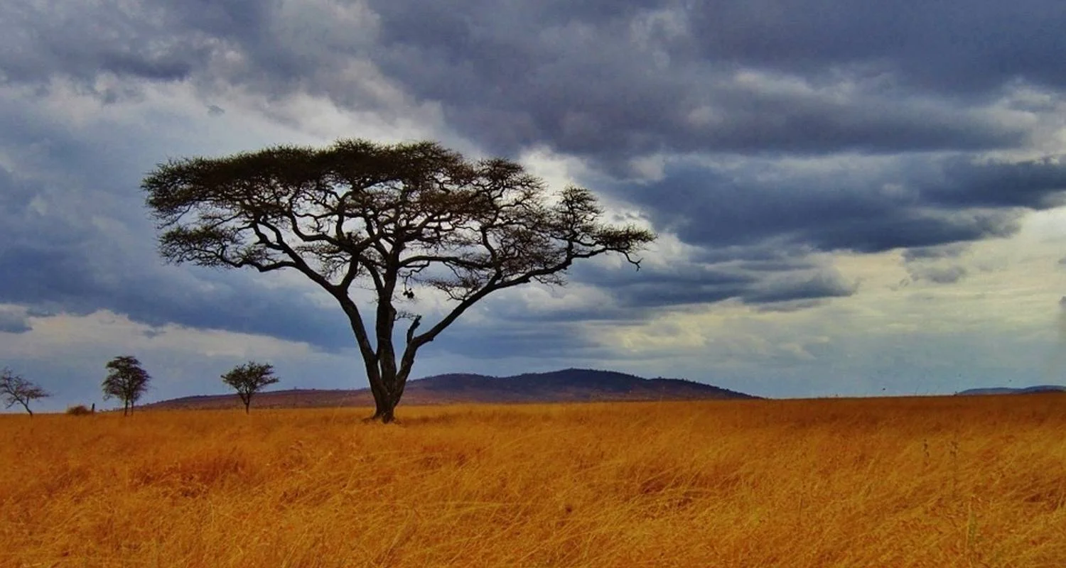 Explore 5 Days  Photo Safari for 5 days with All Time Safaris Ltd and discover unforgettable experiences - Photo 2