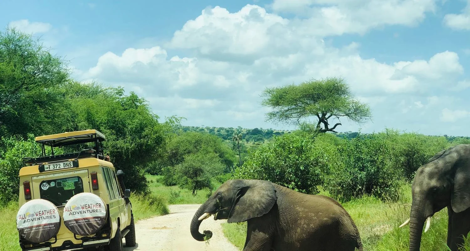 Explore 4 Days Exhilarating Tanzania Safari for 4 days with All Weather Adventures and discover unforgettable experiences - Photo 2