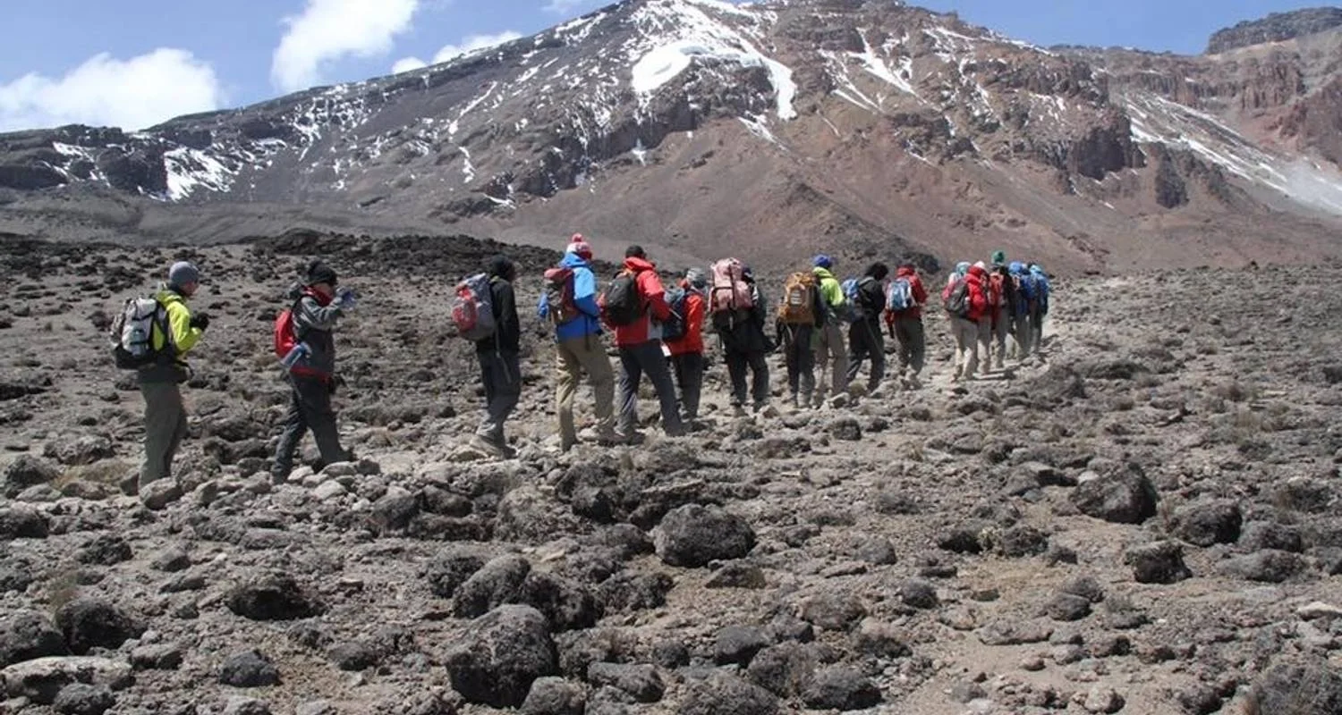 Explore Kilimanjaro climbing machame route 7 days for 7 days with Almighty Kilimanjaro and discover unforgettable experiences - Photo 2
