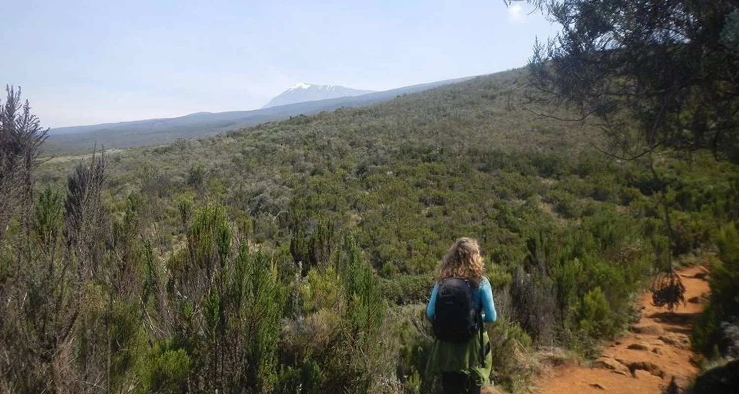Kilimanjaro trekking northern circuit 9 days - 9 days with Almighty Kilimanjaro - Photo 2 Explore Kilimanjaro trekking northern circuit 9 days for 9 days with Almighty Kilimanjaro and discover unforgettable experiences - Photo 2
