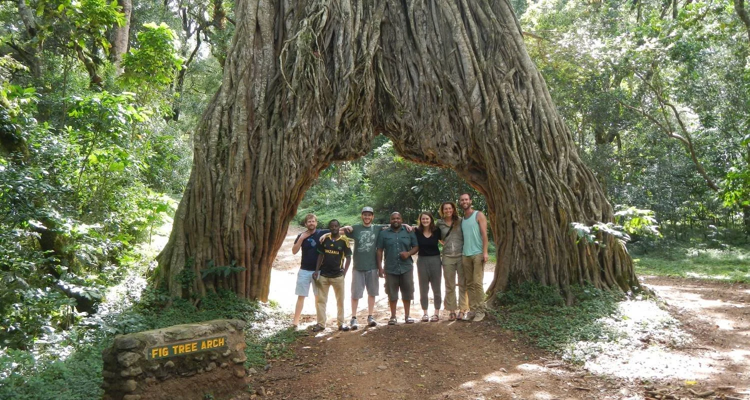 Explore A DAY TRIP TO NGORONGORO CRATER for 1 days with Almighty Kilimanjaro and discover unforgettable experiences - Photo 2
