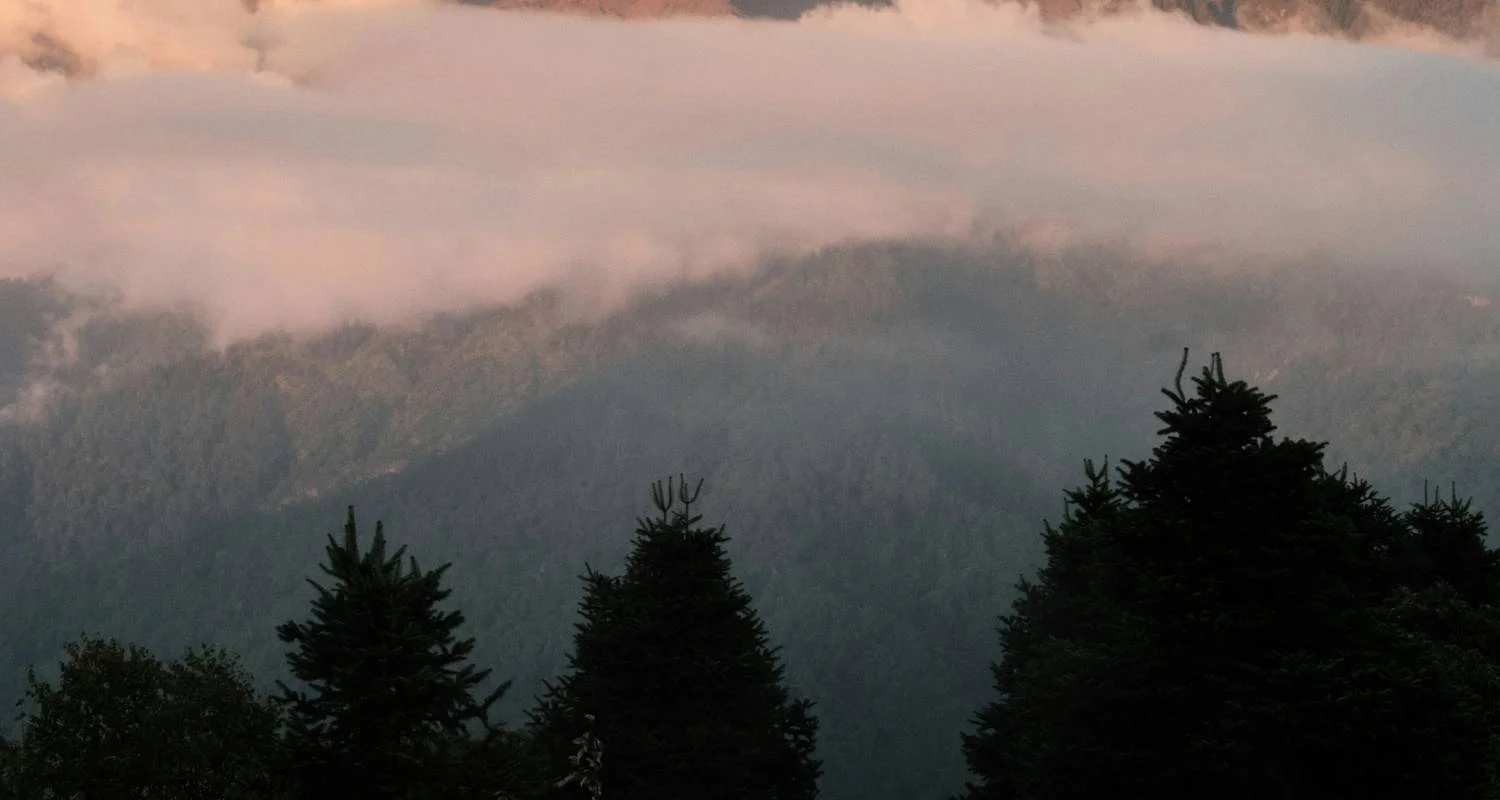 Explore Short Annapurna (Poon Hill) Trek for 3 days with Alpine Club of Himalaya and discover unforgettable experiences - Photo 2