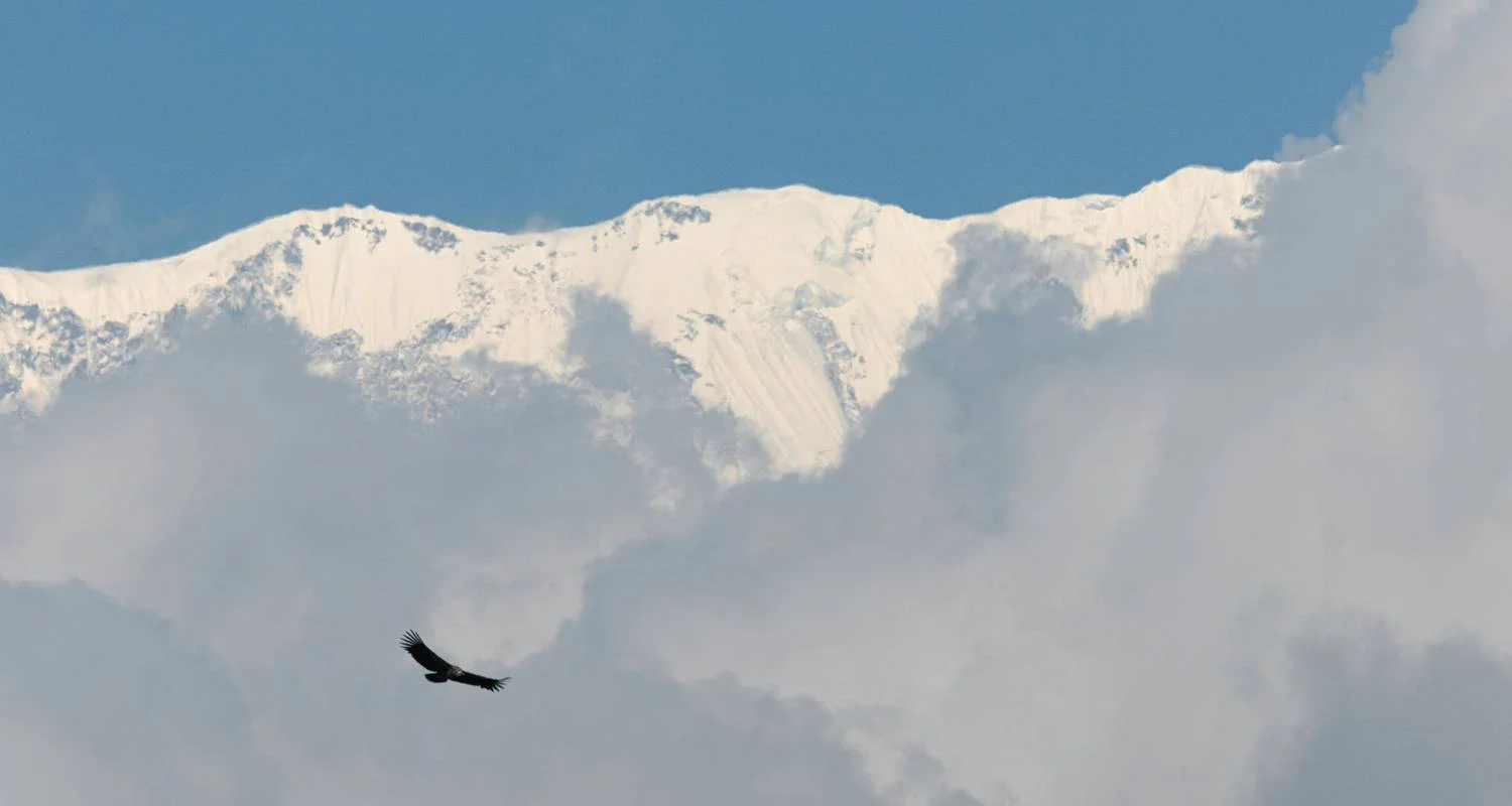 Explore Dhaulagiri Base Camp Trek for 20 days with Alpine Club of Himalaya and discover unforgettable experiences - Photo 2
