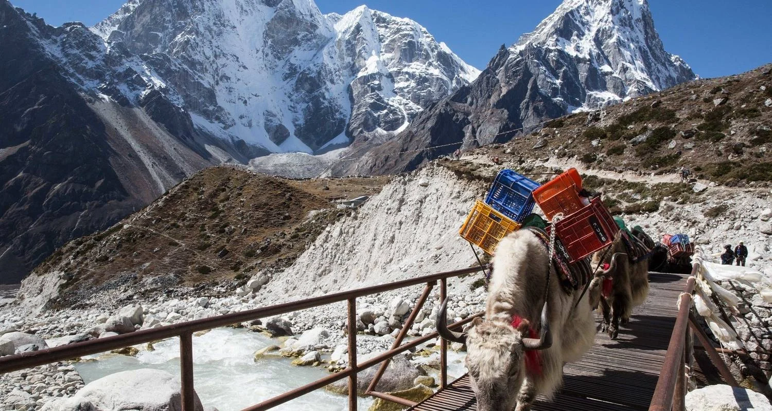 Explore EBC & ISLAND PEAK LEISURELY CLIMB – 24 DAYS for 24 days with Alpine Club of Himalaya and discover unforgettable experiences - Photo 2