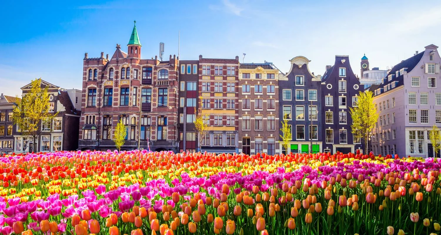 Explore Tulip Time 2026 for 8 days with AmaWaterways and discover unforgettable experiences - Photo 2