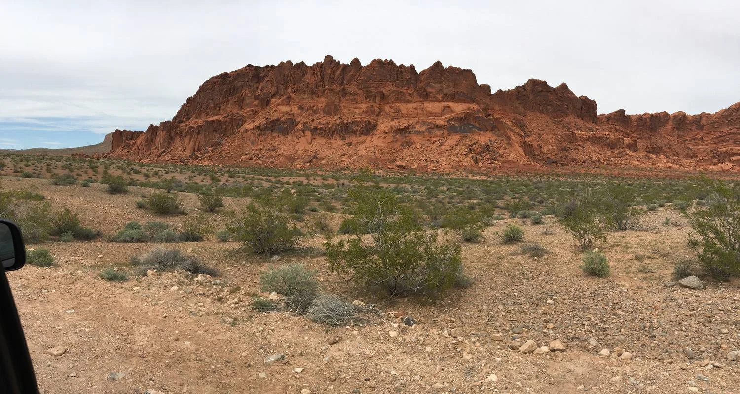 Explore Valley of Fire and Zion Park - 1 Day for 1 days with Amadeo and discover unforgettable experiences - Photo 2