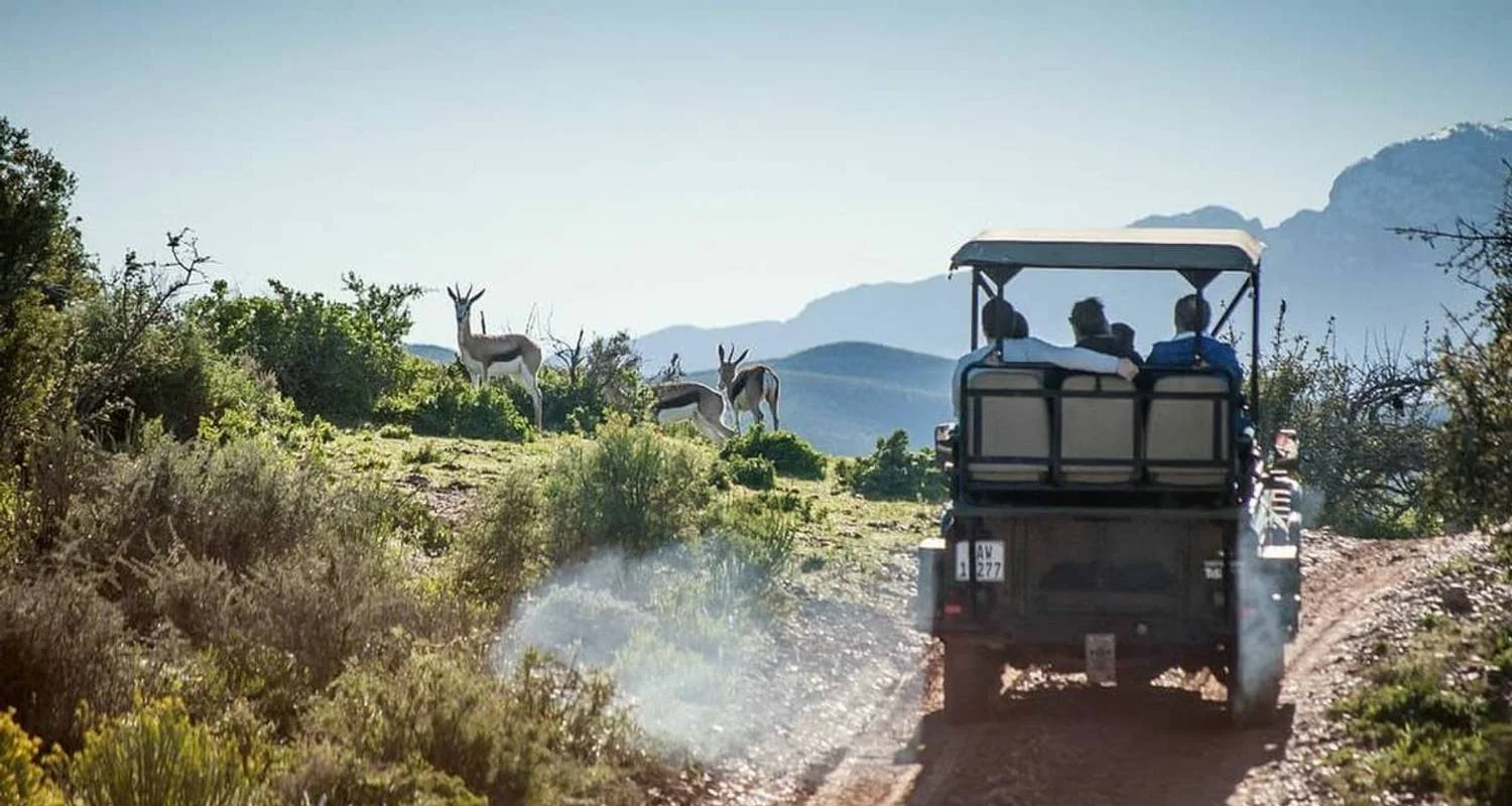 Explore Exclusive Cape Town and Garden Route Safari for 6 days with Amatungulu Tour and discover unforgettable experiences - Photo 2
