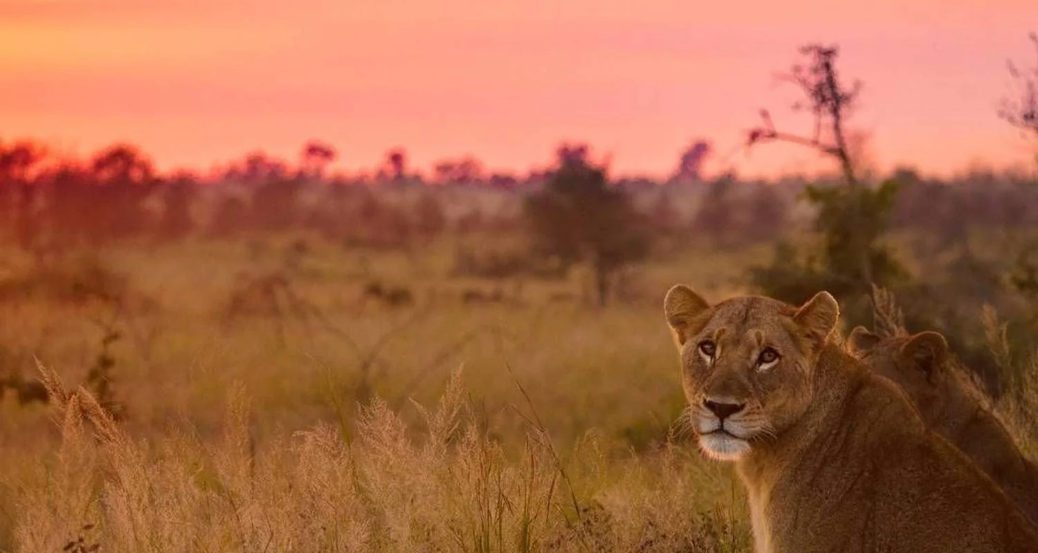 Explore Cape Town to Kruger Park & Lesotho Adventurous Round-trip -"OVERLAND" for 16 days with Amatungulu Tour and discover unforgettable experiences - Photo 2