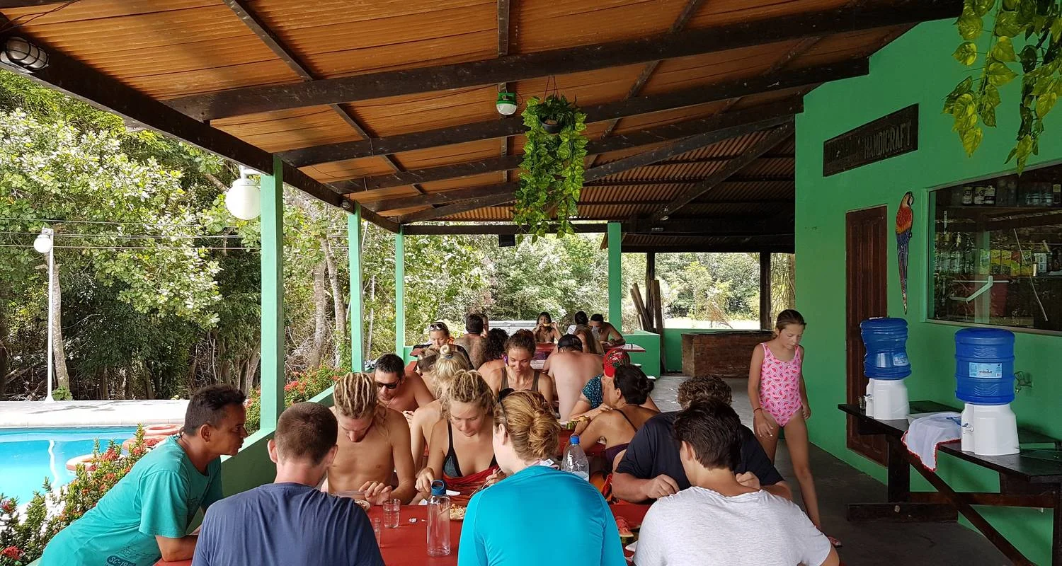 Explore Amazon Jungle - 4 Days for 4 days with Amazon Amazing Tours and discover unforgettable experiences - Photo 2