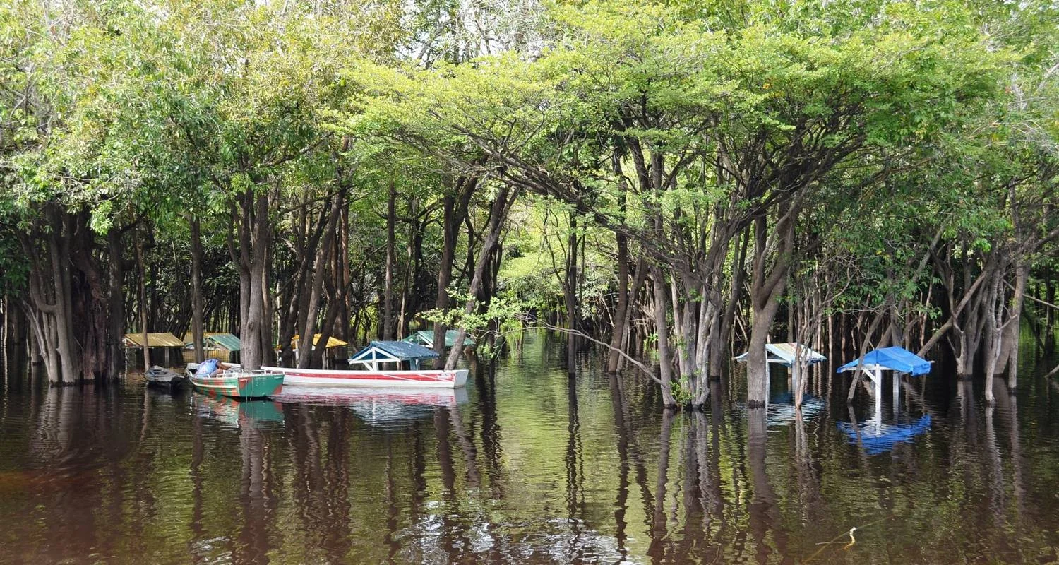 Explore Amazon Jungle (Air-Conditioned) - 2 Days for 2 days with Amazon Amazing Tours and discover unforgettable experiences - Photo 2