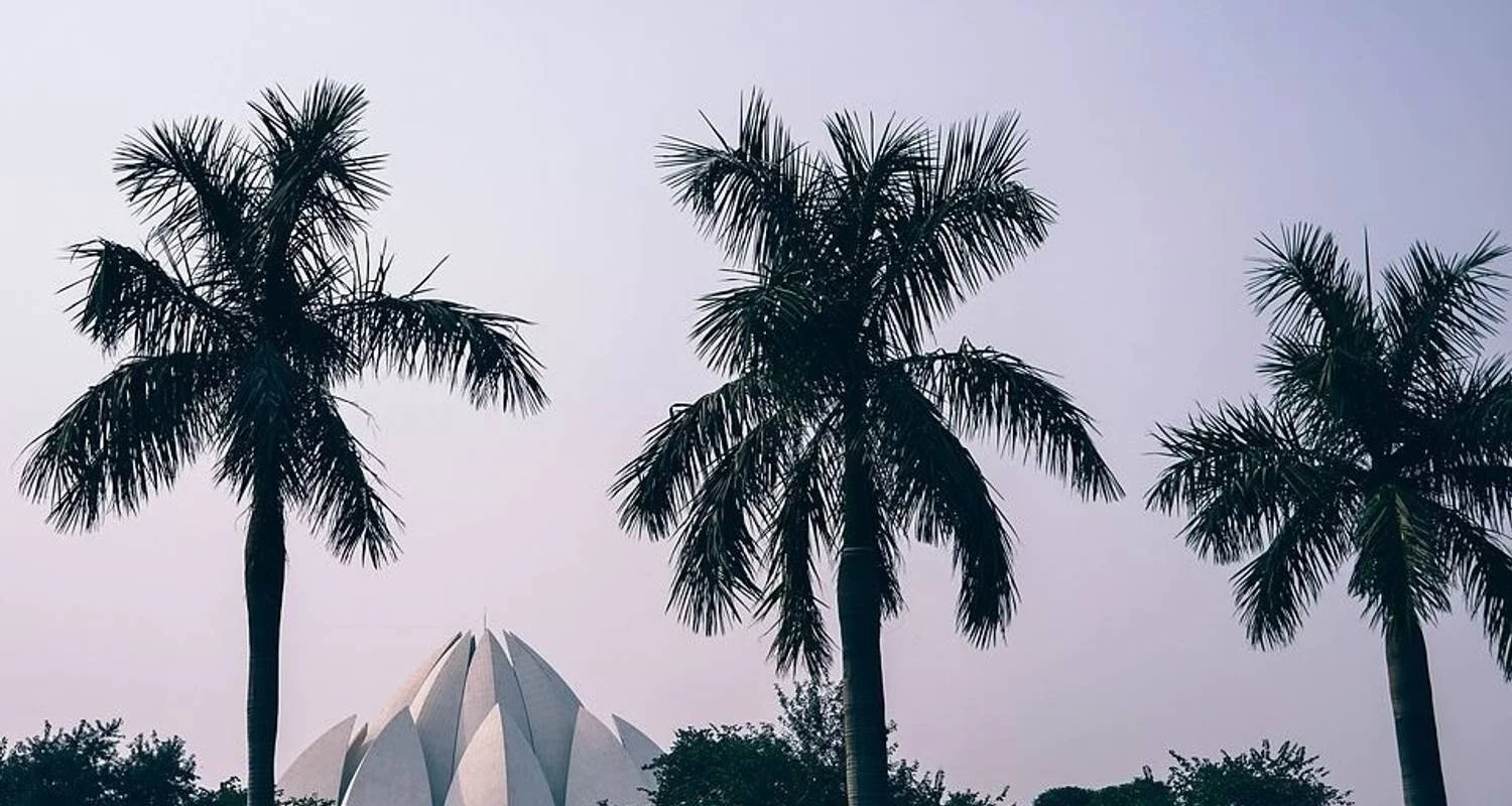 Explore Taj Mahal Sunrise and Sunset Tour with Bird Sanctuary for 3 days with Amazing India Tours and discover unforgettable experiences - Photo 2