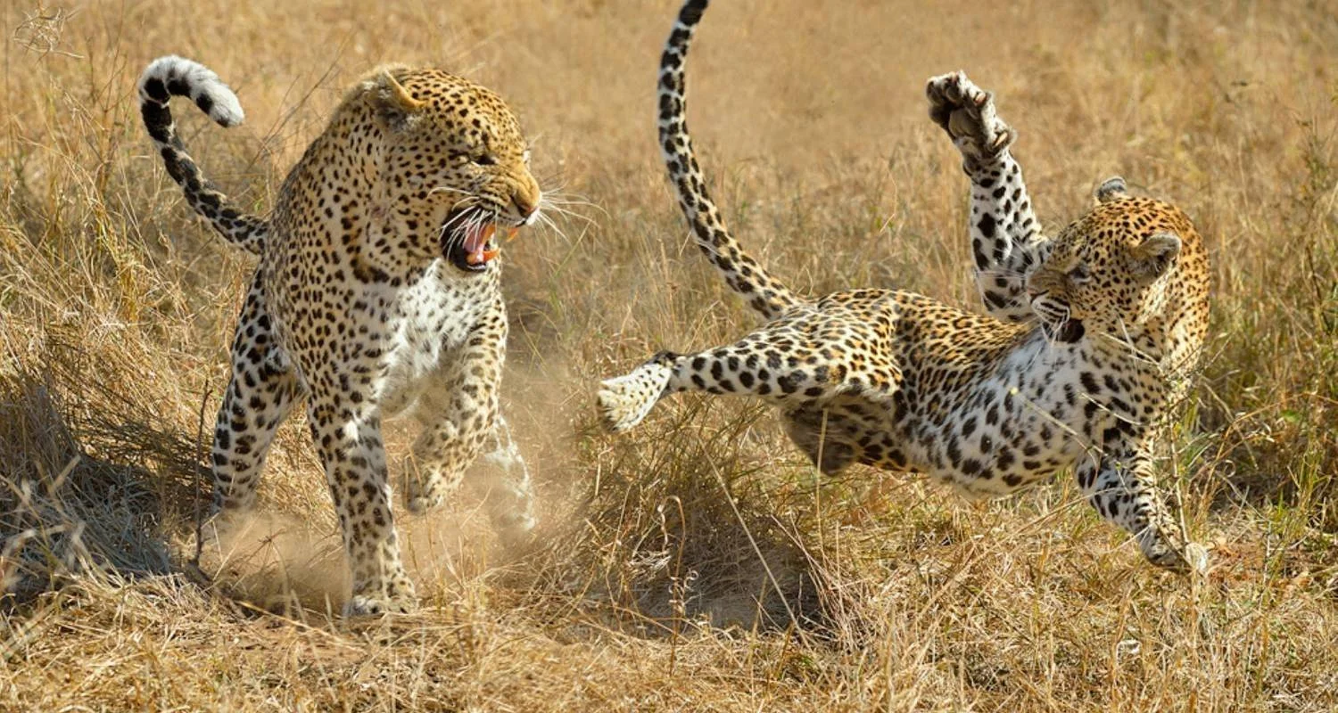 Explore Classic South India with Golden Triangle - ALL INCLUSIVE for 19 days with Amazing India Tours and discover unforgettable experiences - Photo 2