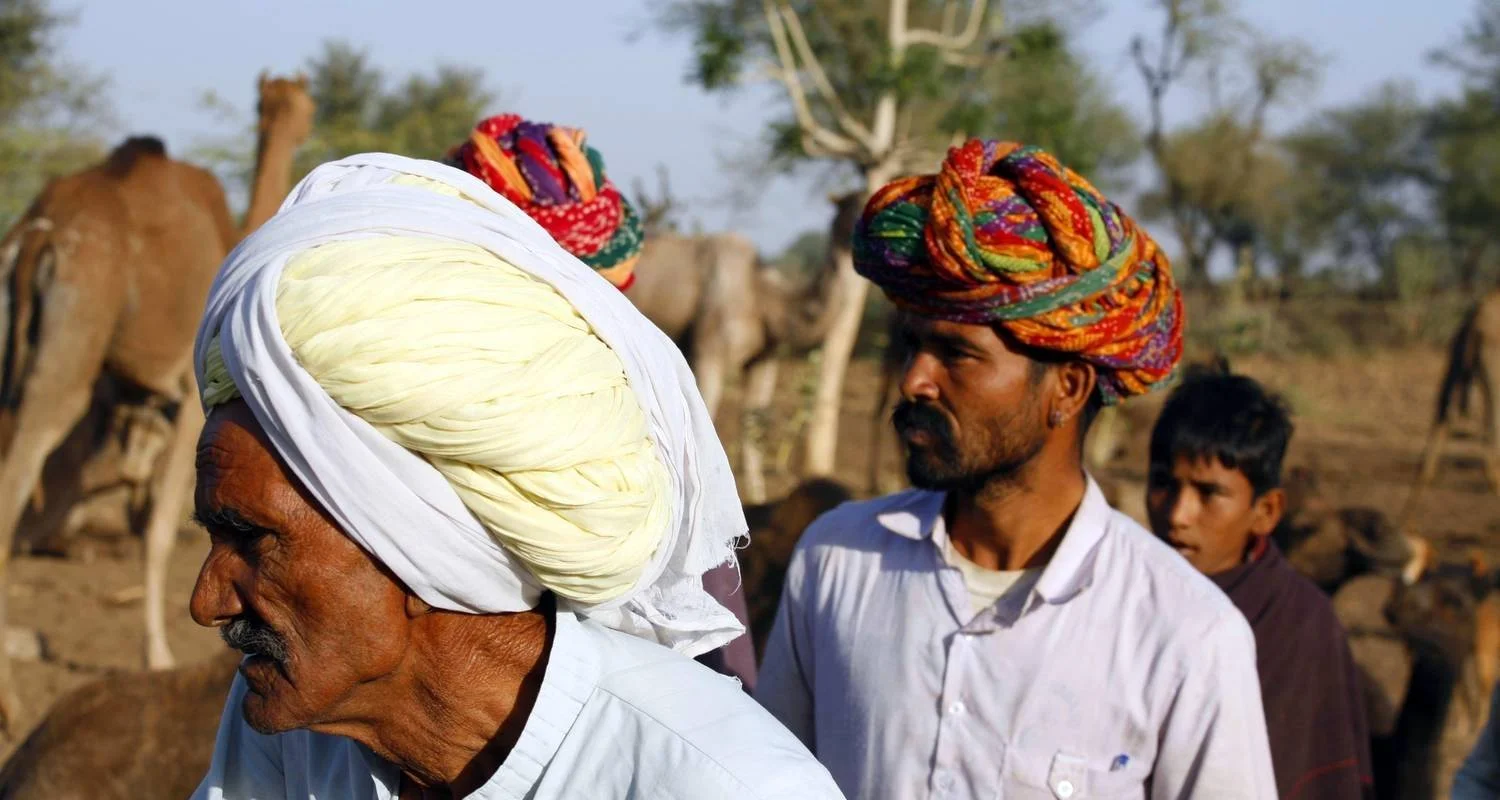 Explore Bespoke India Golden Triangle With Classic Rajasthan for 13 days with Amazing India Tours and discover unforgettable experiences - Photo 2