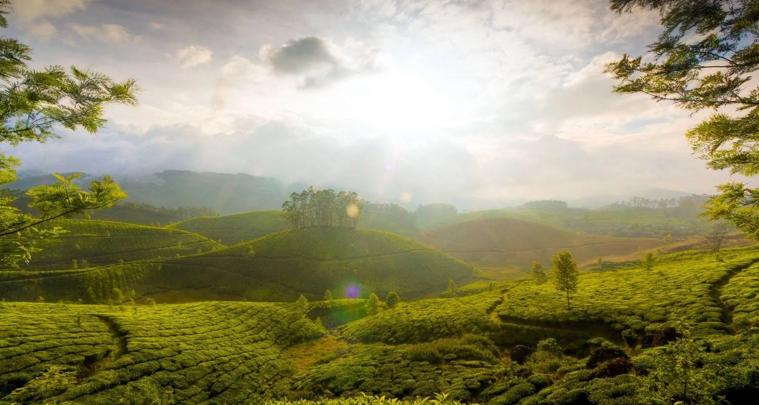 Explore Kerala honeymoon tour for 3 days with Anaisha journey and discover unforgettable experiences - Photo 2