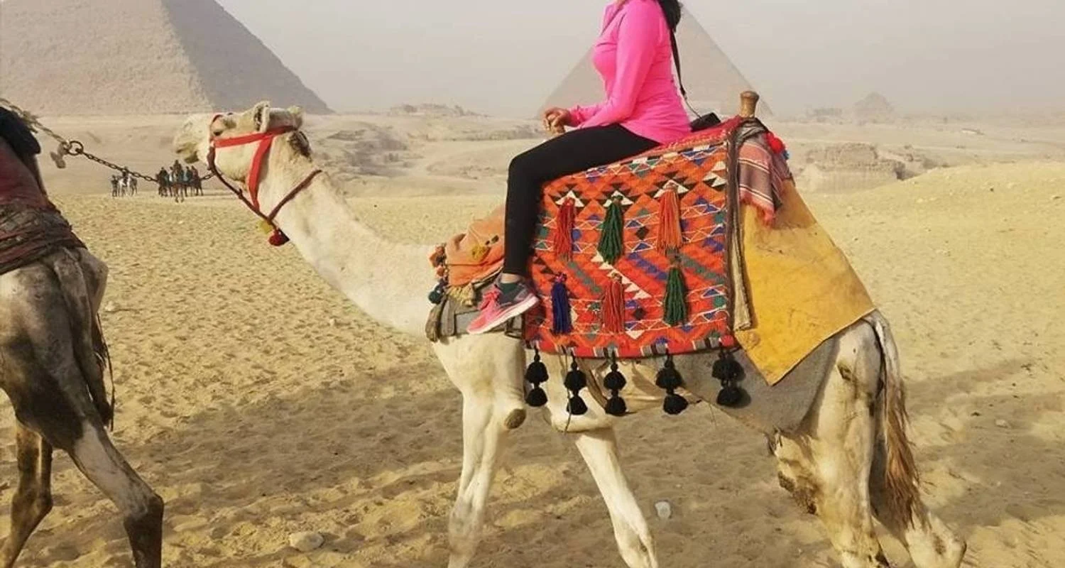 Explore 7 Days Cairo & Aswan, Luxor with Alexandria Holiday for 7 days with Ancient Egypt Tours and discover unforgettable experiences - Photo 2