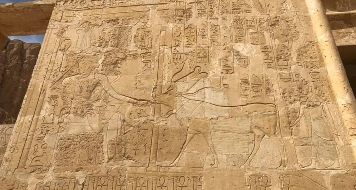 Explore 9 Days Cairo And Nile Cruise With Alexandria Holiday for 9 days with Ancient Egypt Tours and discover unforgettable experiences - Photo 2