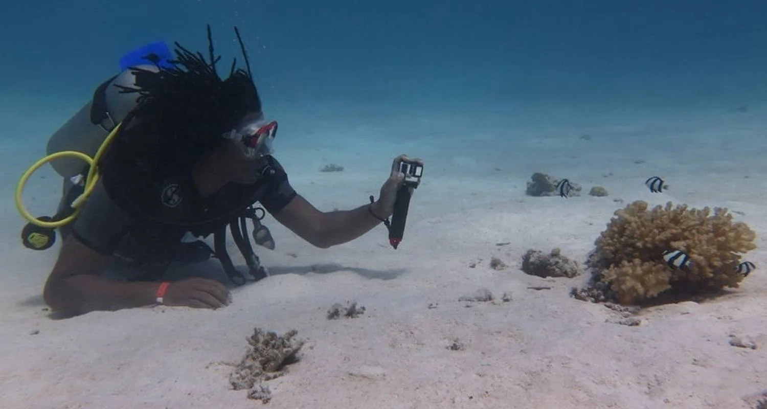 Explore 11 Days Cairo, Nile Cruise & Sharm El sheikh by Sleeper Train (9 destinations) for 11 days with Ancient Egypt Tours and discover unforgettable experiences - Photo 2