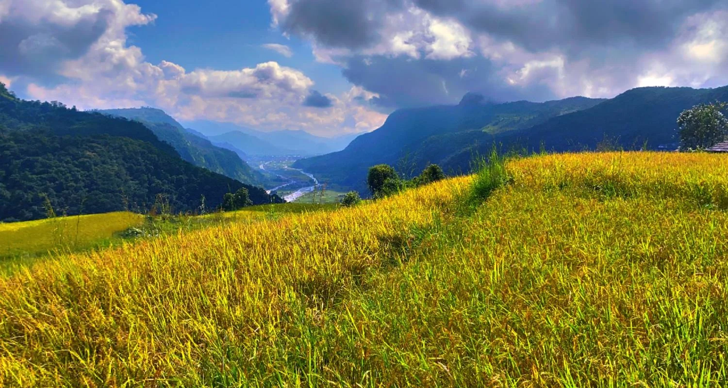 Explore Mardi Himal Trek for 9 days with Approved Holidays Pvt. Ltd. and discover unforgettable experiences - Photo 2