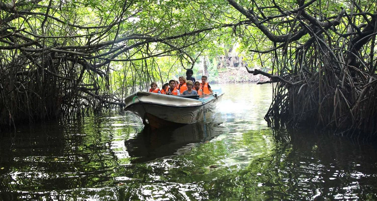 Explore A Journey Through Sri Lanka's Heartland for 6 days with Apple Vacations Pvt Ltd and discover unforgettable experiences - Photo 3