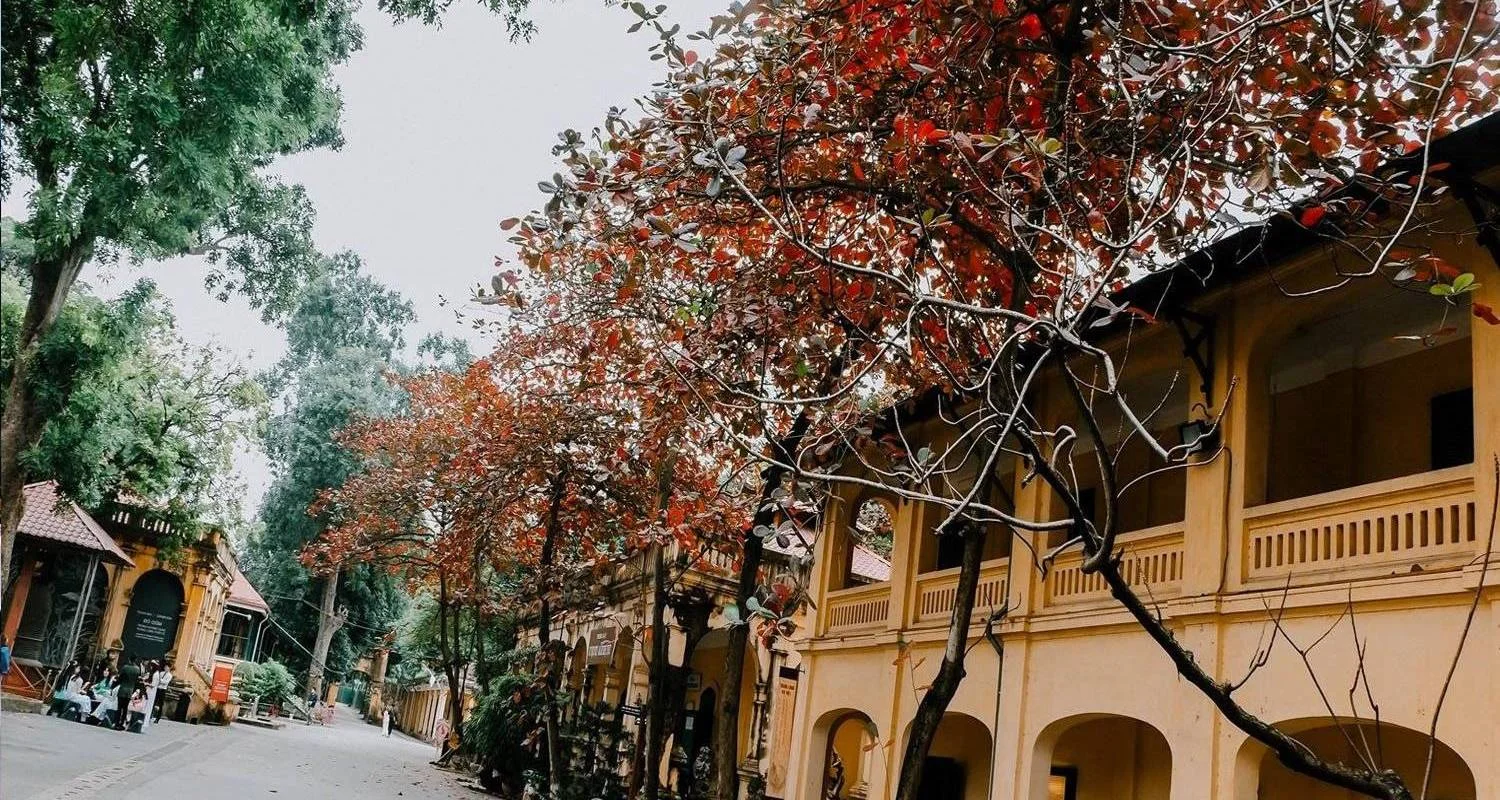 Explore 6 Days Explore Northern Vietnam's Highlights for 6 days with Asia King Travel and discover unforgettable experiences - Photo 2