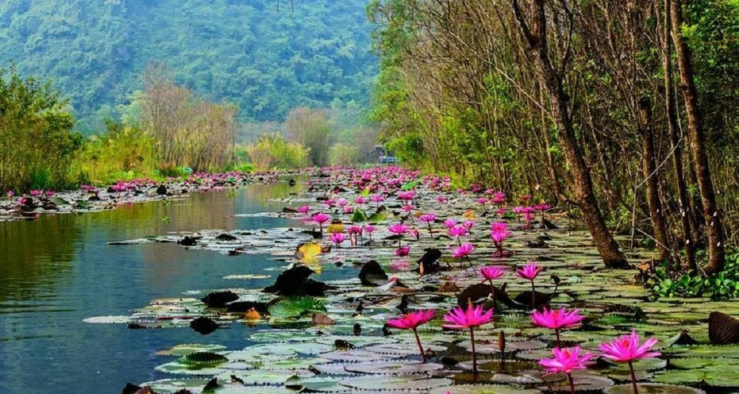 Explore Hanoi - Perfume Pagoda 1 Day for 1 days with Asia Focus Travel and discover unforgettable experiences - Photo 2