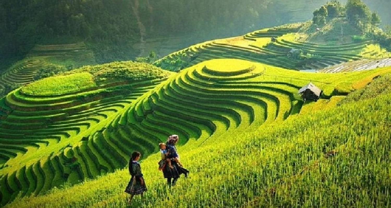 Explore 9 Days northern Vietnam - Cambodia (Hanoi, Sapa, Ha Long, Siem Reap) for 9 days with Asia Pacific Travel and discover unforgettable experiences - Photo 2