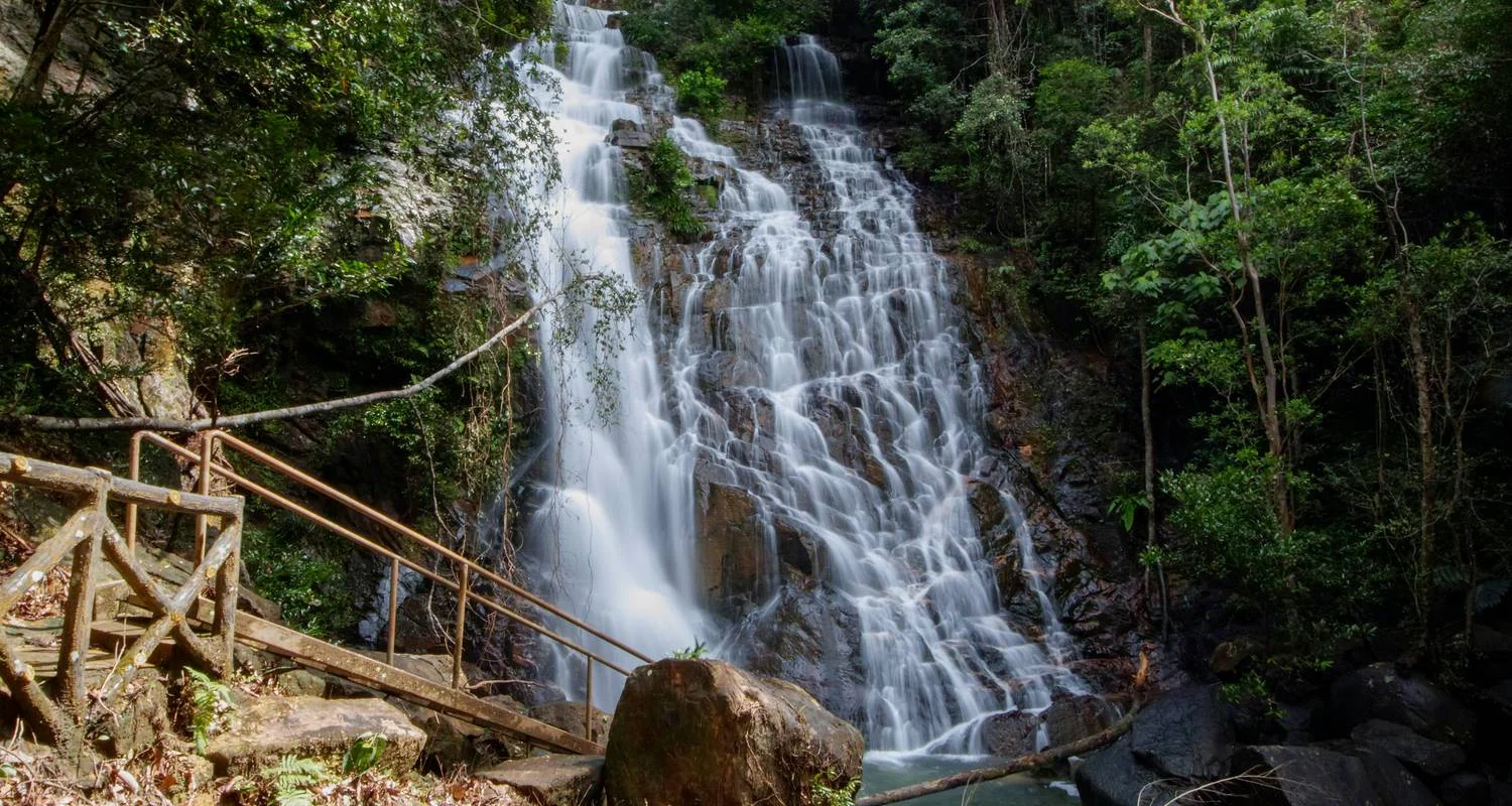Explore Taman Negara Jungle Experience 3Days/ 2Nights for 3 days with Asian Overland Services Tours & Travel  and discover unforgettable experiences - Photo 2