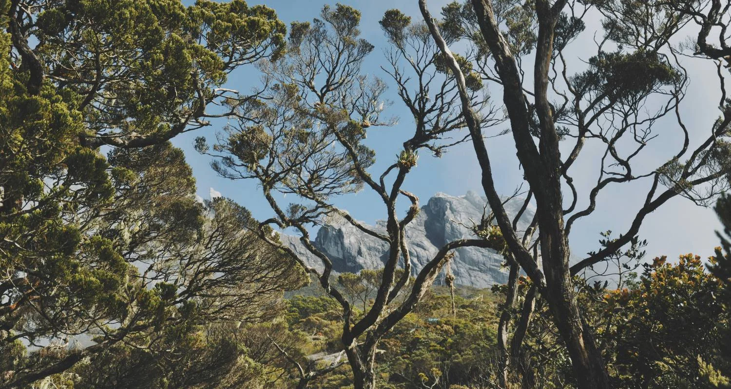 Explore Splendours of Borneo: Kuching to Kota Kinabalu for 7 days with Asian Overland Services Tours & Travel  and discover unforgettable experiences - Photo 2