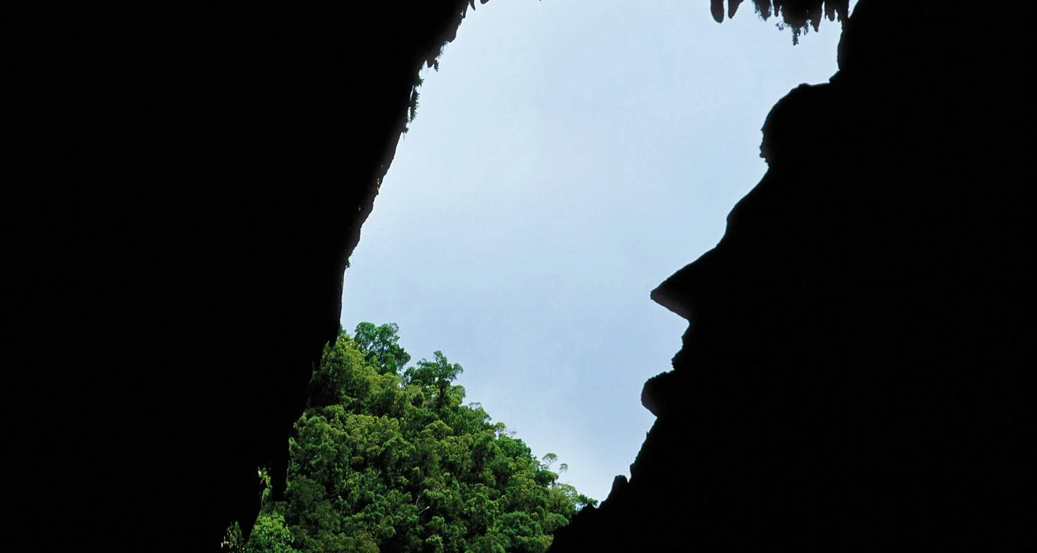 Explore Gunung Mulu National Park for 3 days with Asian Overland Services Tours & Travel  and discover unforgettable experiences - Photo 2