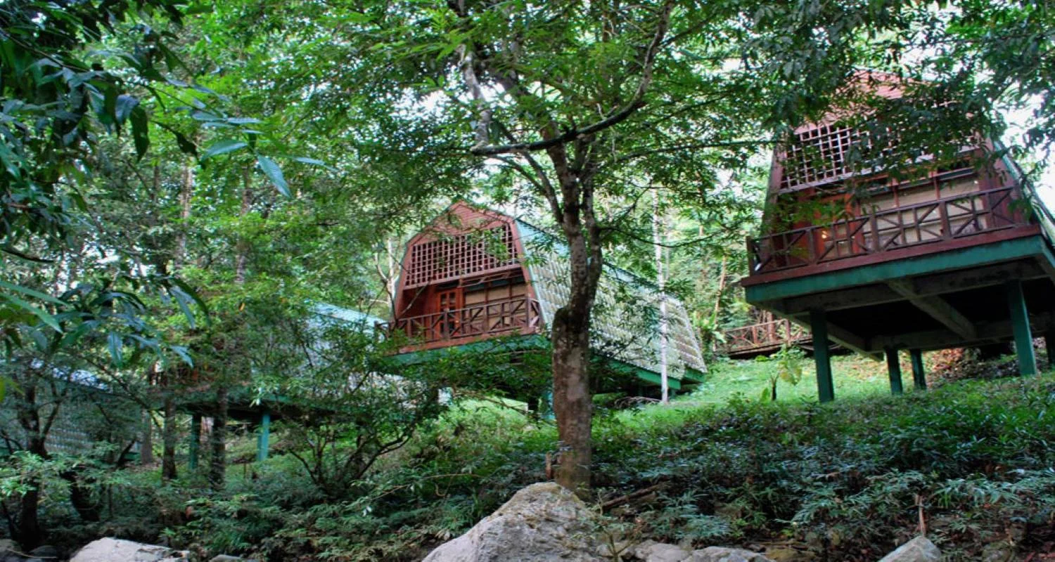 Explore Tabin Wildlife Experience for 3 days with Asian Overland Services Tours & Travel  and discover unforgettable experiences - Photo 2