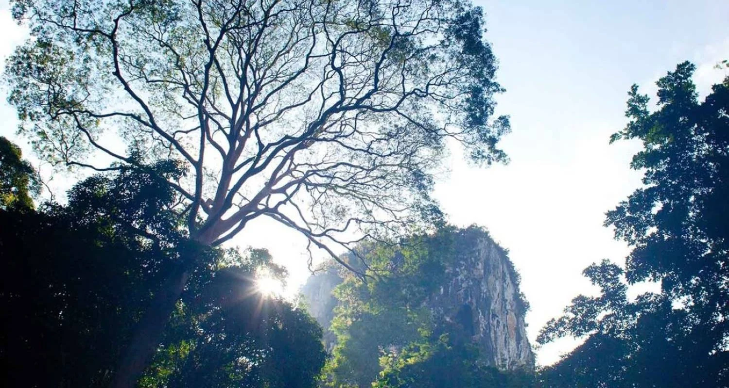 Explore Orou Sapulot 4 Days for 4 days with Asian Overland Services Tours & Travel  and discover unforgettable experiences - Photo 2