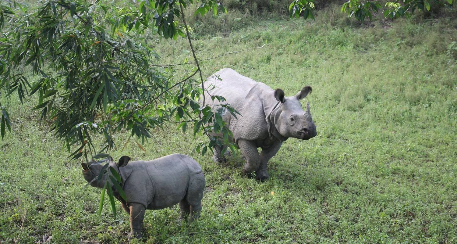 Explore Glimpus of Nepal:  Poon Hill Trek & Wildlife Adventure for 15 days with Asian Heritage Treks & Expeditions and discover unforgettable experiences - Photo 2
