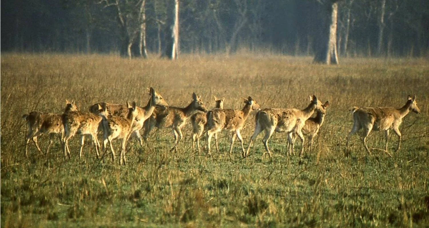 Explore Eastern Nepal Tour for 9 days with Asian Heritage Treks & Expeditions and discover unforgettable experiences - Photo 2