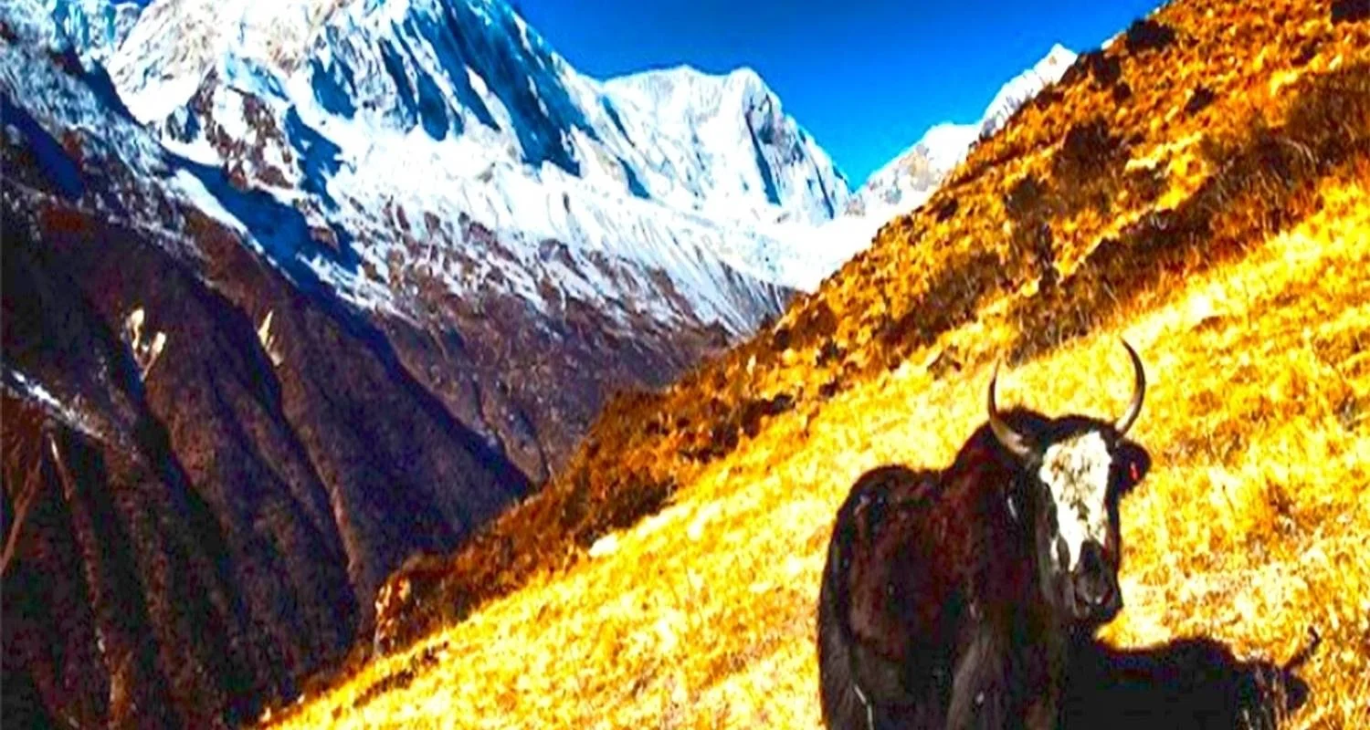 Explore Manaslu Circuit Trek for 16 days with Asian Heritage Treks & Expeditions and discover unforgettable experiences - Photo 2