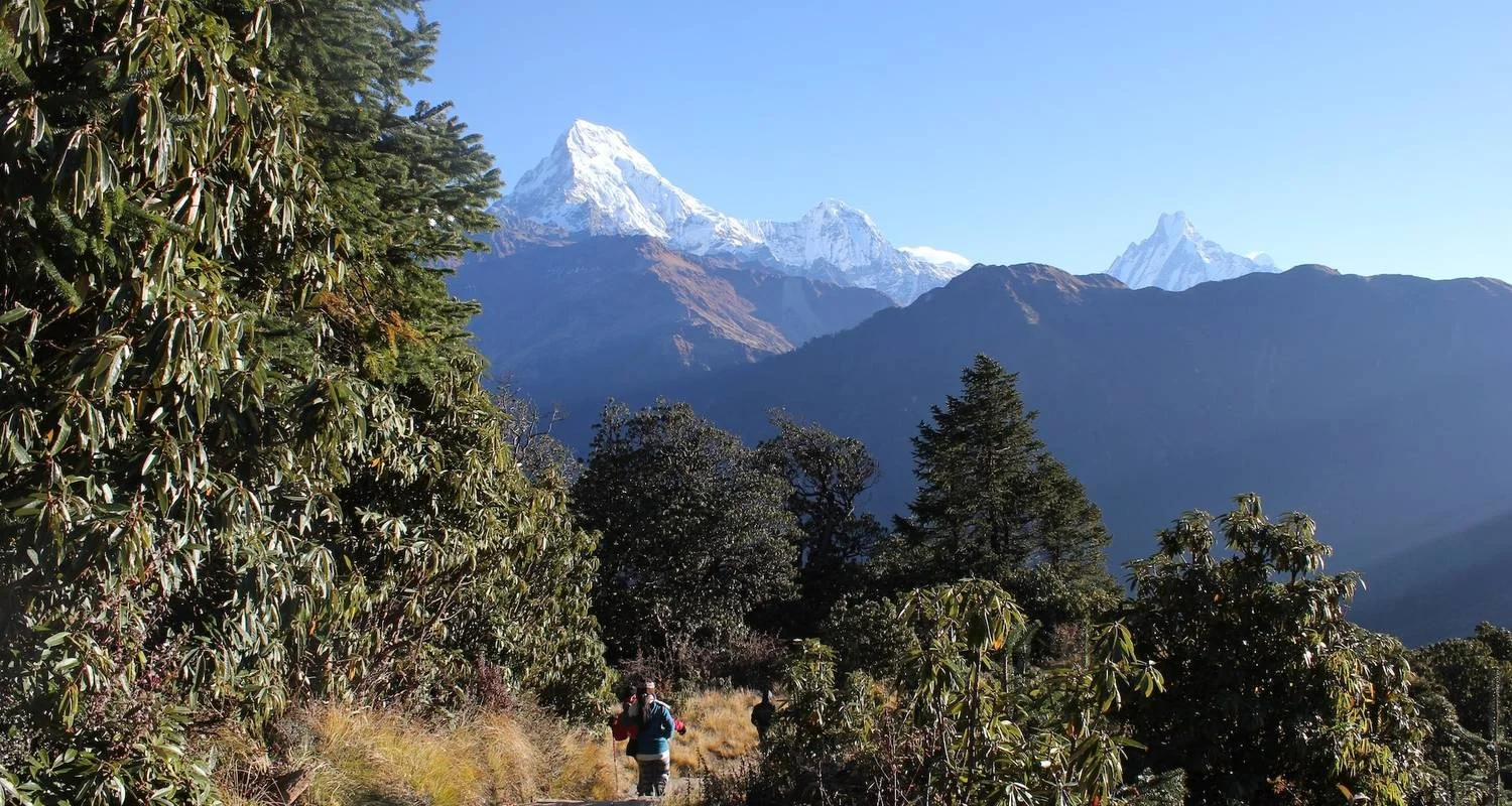 Explore Langtang Valley Trek for 12 days with Asian Heritage Treks & Expeditions and discover unforgettable experiences - Photo 2